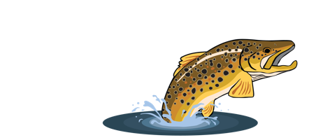 Yellowstone Angler Guide Service & Fly Shop