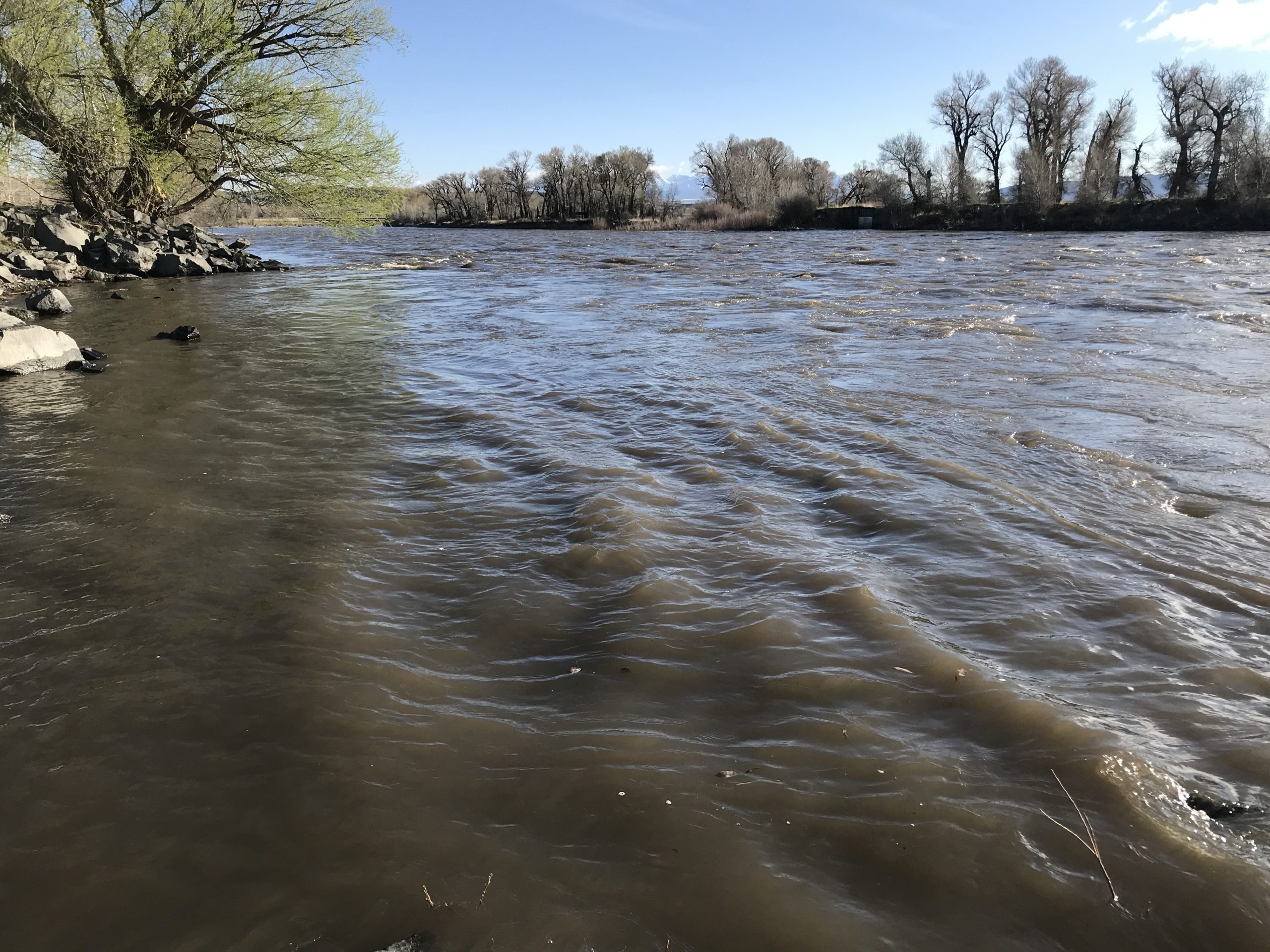 May 1st Clarity » Yellowstone Angler