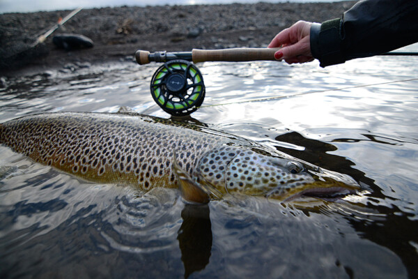 Hatch Outdoors - Iconic Fly Reel - Image 30