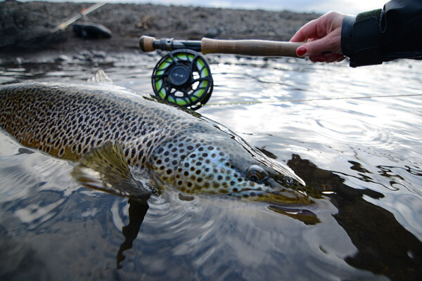 Hatch Outdoors - Iconic Fly Reel - Image 24