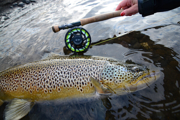 Hatch Outdoors - Iconic Fly Reel - Image 28