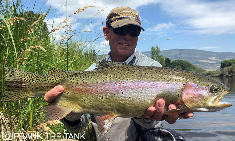Montana Fishing Guides  Yellowstone Angler Guide Service & Fly Shop